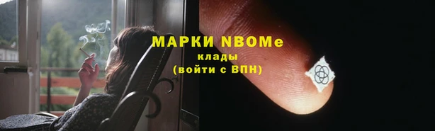 прущие грибы Алексин