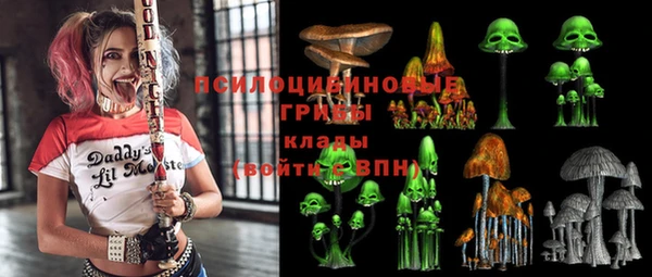 прущие грибы Алексин