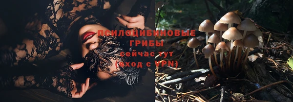 соль курить ск Алзамай